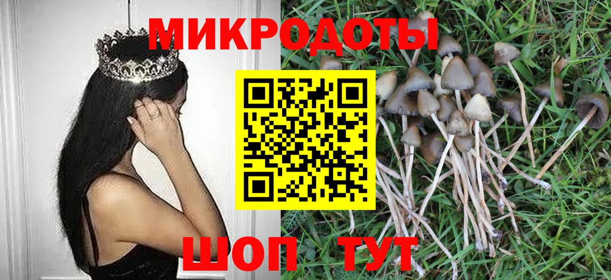 Галлюциногенные грибы MAGIC MUSHROOMS Нижневартовск