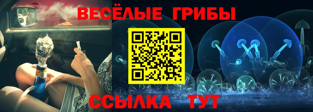 Псилоцибиновые грибы Psilocybe  Псилоцибиновые грибы ЛСД  Нижневартовск  Вход с VPN 